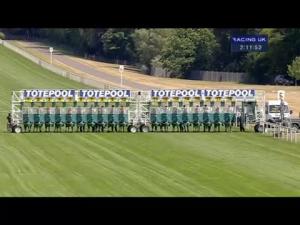 Video preview image for Ascot 14:10 - Totescoop6 Heritage Handicap