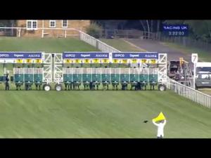 Video preview image for Ascot 15:20 - Ruddy Maiden Auction Stakes (Plus10)