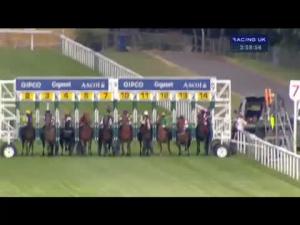 Video preview image for Ascot 15:55 - Gl Events Owen Brown Handicap