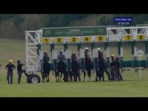 Video preview image for Newmarket 17:30 - Longines Irish Champions Weekend Handicap