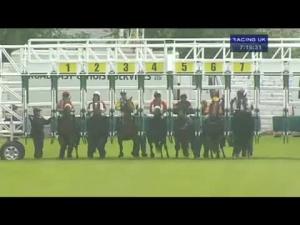 Video preview image for Hamilton Park 19:15 - Sunday Mail Handicap