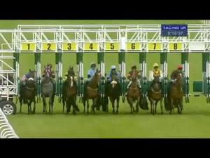 Video preview image for Hamilton Park 20:15 - James Frew & T Clarke M&E Partnership Handicap