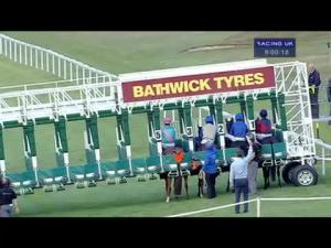 Video preview image for Salisbury 21:00 - EBF Stallions Breeding Winners Ladies' Evening Fillies' Handicap