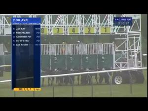 Video preview image for Ayr 14:30 - Racing UK Handicap