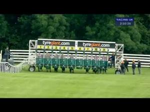 Video preview image for Beverley 14:50 - 100% Racing UK Profits Returned To Racing Handicap (Div 1)