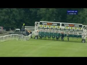 Video preview image for Beverley 16:00 - 130th Year Of The Watt Memorial Handicap