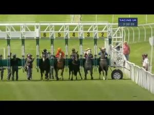 Video preview image for Catterick Bridge 14:30 - yorkshire-outdoors.co.uk Selling Stakes