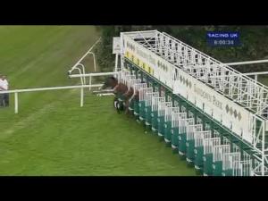 Video preview image for Sandown Park 18:00 - Xl Catlin Handicap