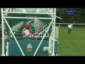 Video preview image for Sandown Park 18:35 - Daily Price Boosts With Unibet Handicap