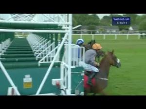 Video preview image for Sandown Park 20:15 - Unibet Offer Daily Trainer/Jockey Specials Handicap