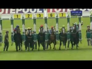 Video preview image for Hamilton Park 14:10 - Irish Stallion Farms EBF Maiden Stakes (Qualifier For 20,000 Highland Spring Water Hamilton Park 2yo Series Final)