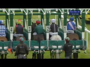 Video preview image for Hamilton Park 15:45 - Totepool Racing's Biggest Supporter Handicap