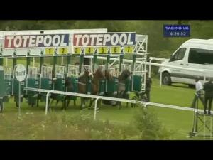 Video preview image for Hamilton Park 16:20 - Racinguk Now Available 10 Per Day Handicap