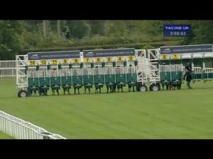 Video preview image for Newbury 14:00 - Highclere Thoroughbred Racing EBF Stallions Maiden Stakes (Plus10) (Str)