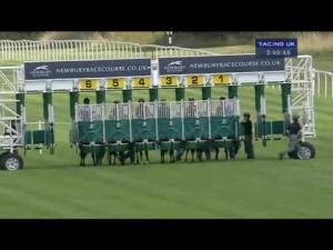 Video preview image for Newbury 15:40 - Rose Bowl Stakes - Sponsored By Compton Beauchamp Estates Ltd (Listed)