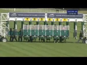 Video preview image for Newbury 17:15 - Oakley Coachbuilders Apprentice Handicap