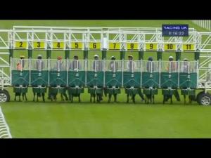 Video preview image for Hamilton Park 20:15 - EBF Stallions Glasgow Stakes (Listed)