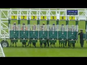 Video preview image for Hamilton Park 20:45 - Jordan Electrics Handicap