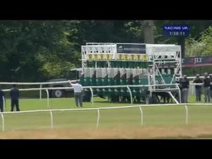 Video preview image for Newbury 13:25 - John Hills Maiden Stakes
