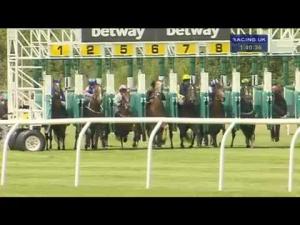 Video preview image for Newmarket 13:40 - Betway Handicap