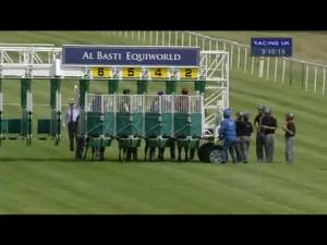 Video preview image for Newbury 15:10 - Al Basti Equiworld Hackwood Stakes (Group 3)