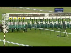 Video preview image for Haydock Park 20:25 - Book Your Christmas Party At Haydock Park Handicap