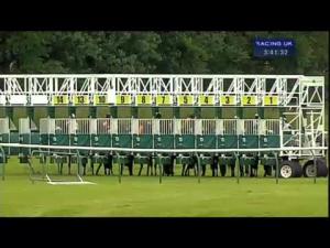 Video preview image for Ayr 15:40 - Racing UK Day Pass Handicap