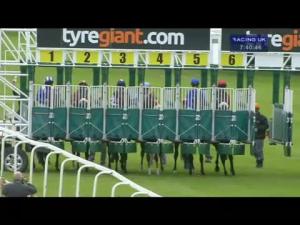 Video preview image for Beverley 19:40 - Richard and Carol Hudson Handicap