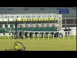 Video preview image for Musselburgh 14:15 - Rural Insurance Handicap