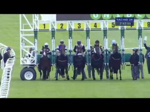 Video preview image for Sandown Park 19:45 - Share Centre : Simply Easier Handicap