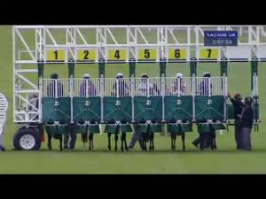 Video preview image for Sandown Park 17:05 - Lubricators Handicap