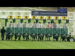 Video preview image for Newbury 19:40 - NSPCC Handicap