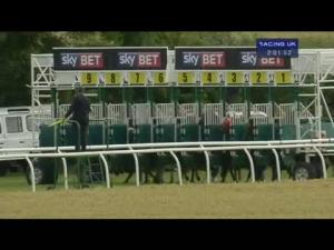 Video preview image for Thirsk 14:00 - Sky Bet Supporting The Yorkshire Racing Summer Festival Selling Handicap