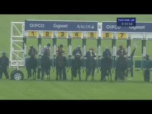 Video preview image for Ascot 14:20 - Anders Foundation EBF Stallions Crocker Bulteel Maiden Stakes (Plus 10)