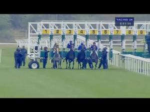 Video preview image for Newmarket 18:40 - Adnams July Course Nursery
