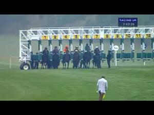 Video preview image for Newmarket 19:40 - Display World Holdings Ltd Maiden Stakes