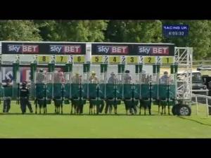 Video preview image for York 16:05 - Sky Bet Making Betting Better Median Auction Maiden Stakes (Plus 10)