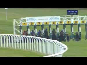 Video preview image for Newmarket 17:25 - Adnams Blackshore Stout Handicap