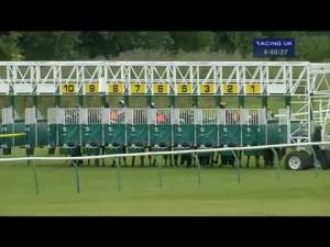 Video preview image for Ayr 16:40 - Racing UK Anywhere Available Now Handicap (Div 2)