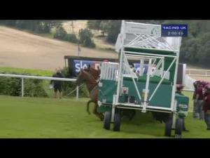Video preview image for Goodwood 14:00 - Sky Bet First Race Special Stakes (Handicap)