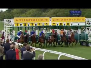 Video preview image for Goodwood 14:35 - Qatar Vintage Stakes (Group 2)