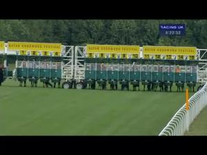 Video preview image for Goodwood 16:20 - Weatherbys Private Banking Stakes (Handicap)
