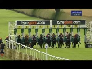 Video preview image for Beverley 16:30 - Wilford Watts Memorial Handicap