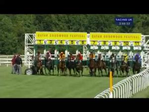 Video preview image for Goodwood 15:45 - Fairmont Molecomb Stakes (Group 3)