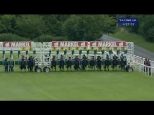 Video preview image for Goodwood 16:20 - Markel Insurance Maiden Fillies' Stakes (Plus 10)