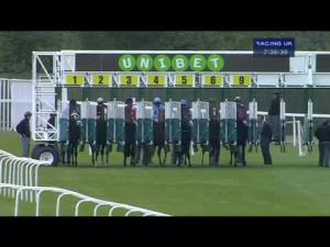 Video preview image for Sandown Park 19:35 - Daily Price Boosts With Unibet Handicap