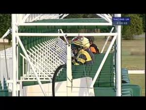 Video preview image for Sandown Park 20:05 - Unibet Offer Early Prices By 9Am Fillies' Handicap