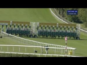 Video preview image for Goodwood 16:55 - Telegraph Nursery