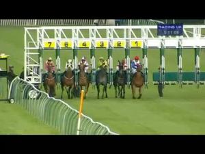 Video preview image for Nottingham 17:10 - Ladies Day On Friday 14th August Handicap