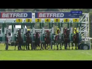 Video preview image for Goodwood 14:00 - Betfred Glorious Stakes (Group 3)
